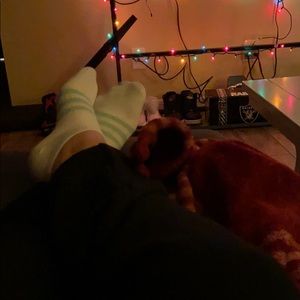 Meet your Posher, Alexia